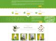 18herbs web designing and development